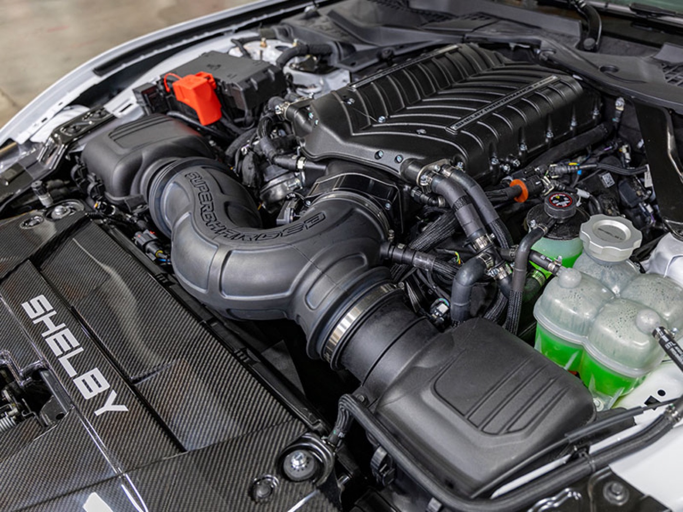 2026 Shelby Super Snake-R Whipple-supercharged Coyote V8 engine bay, official Shelby American press photography.