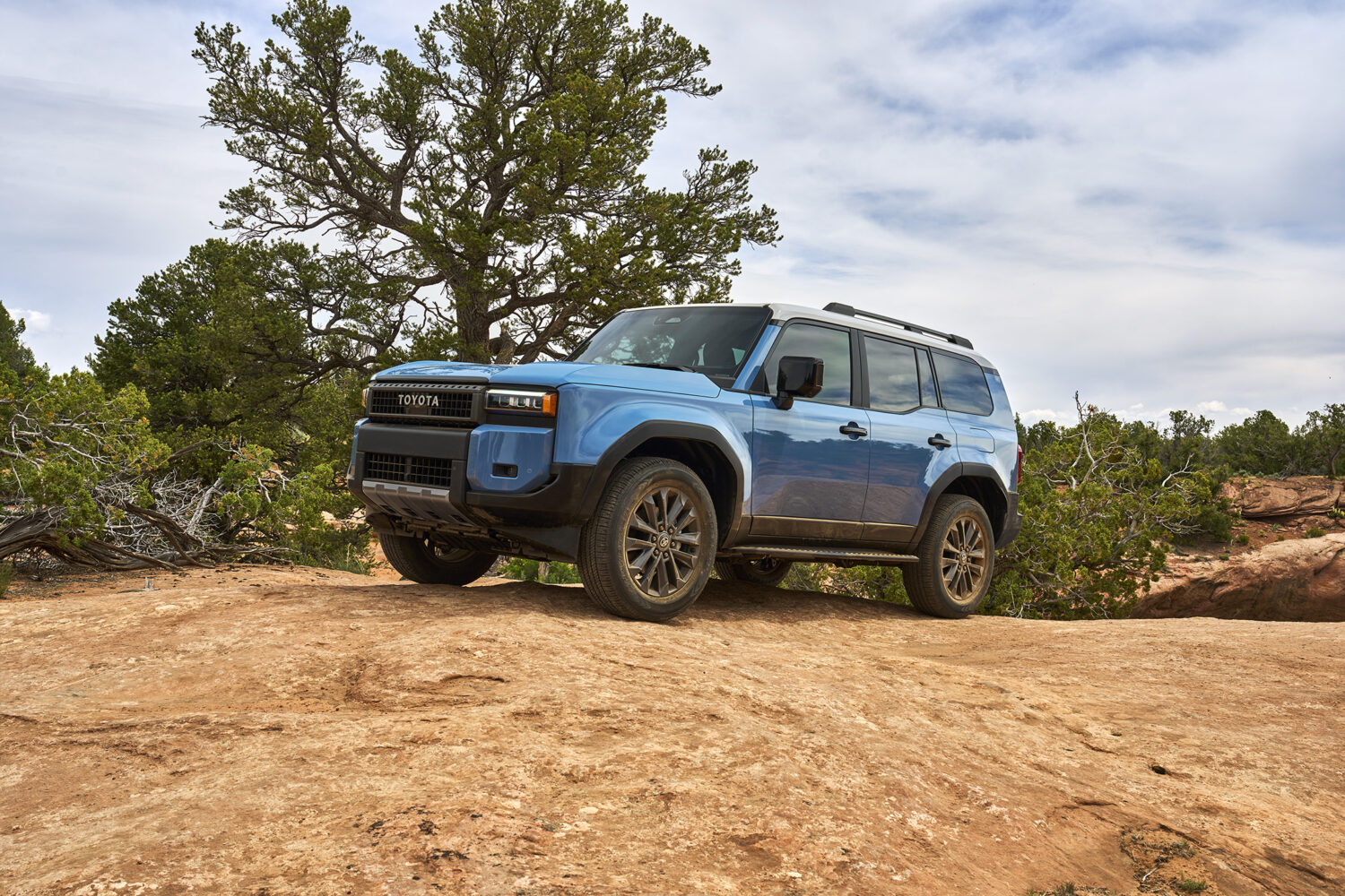 2026 Toyota Land Cruiser, rear three-quarter view outdoors.