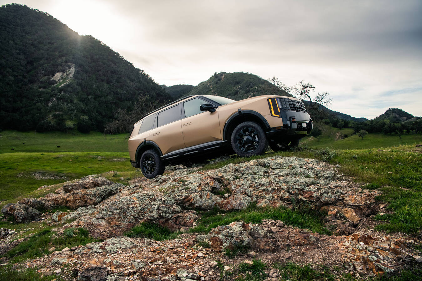 2027 Kia Telluride X-Pro rear three-quarter view, official Kia press photography, static shot 7.