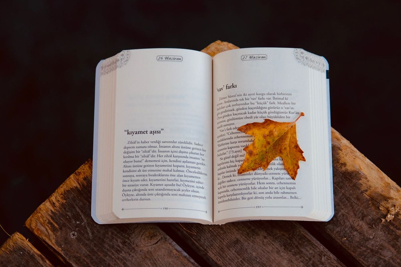 An open book resting on a wooden bench with an autumn leaf as a bookmark