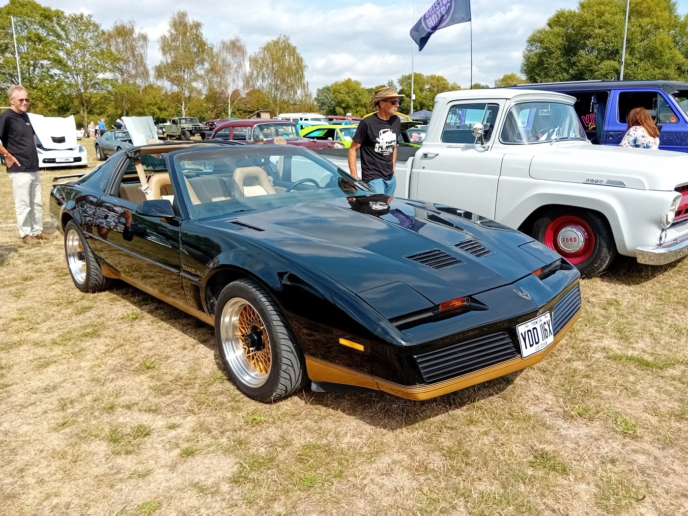 A 1982 Pontiac Firebird Trans Am, real photograph.
