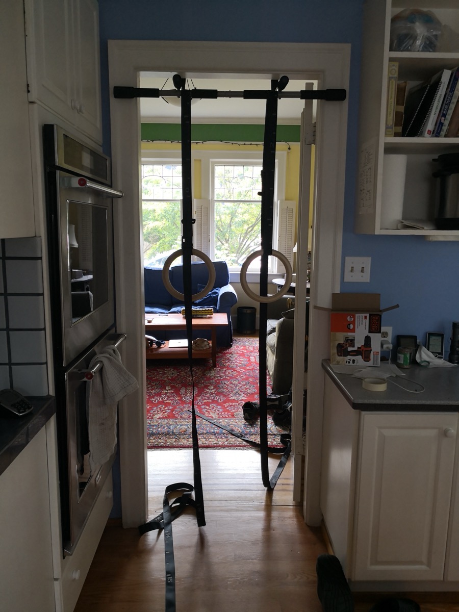 Gymnastics rings hung from a doorway pull-up bar