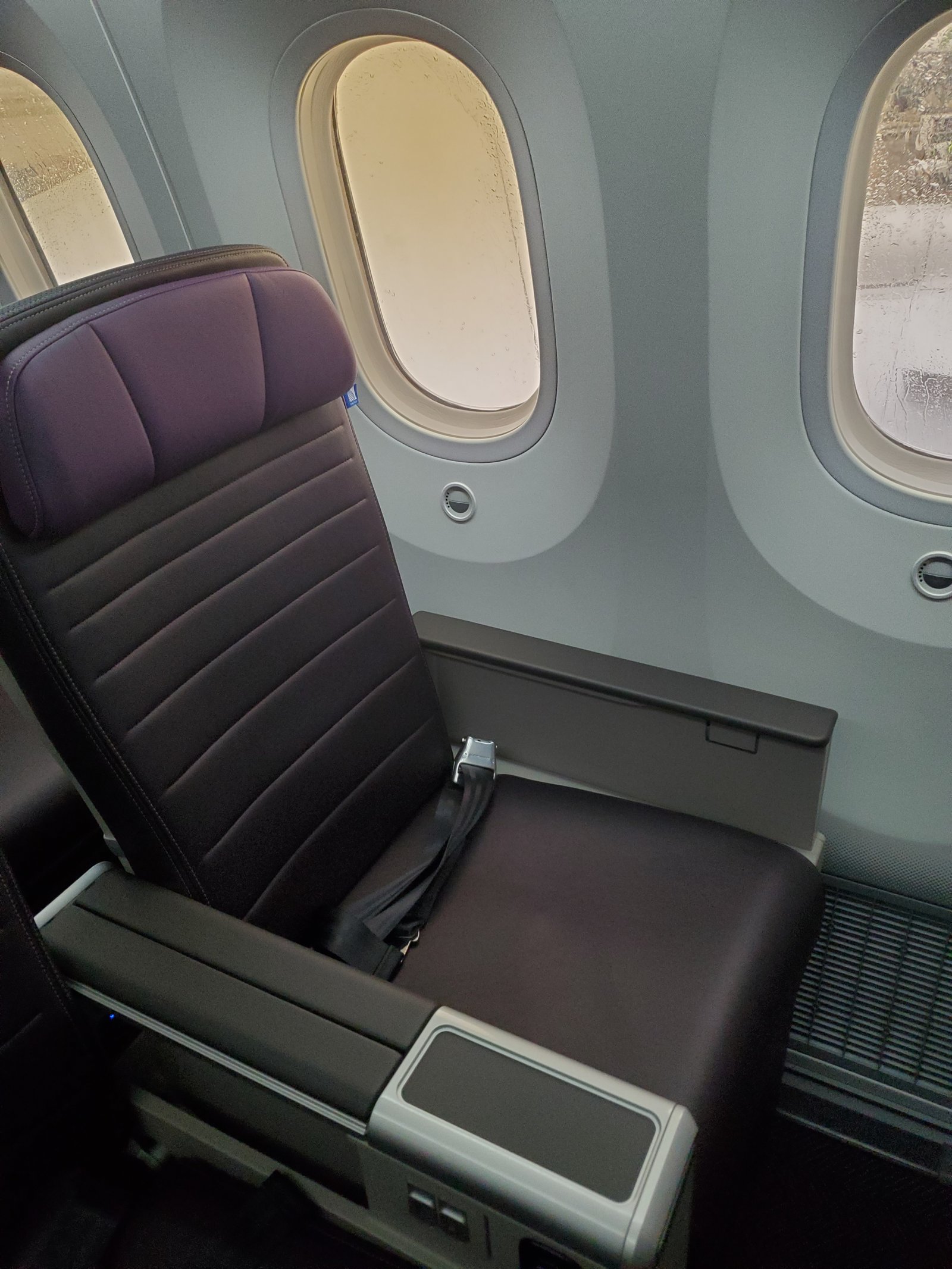 United Airlines Premium Plus cabin