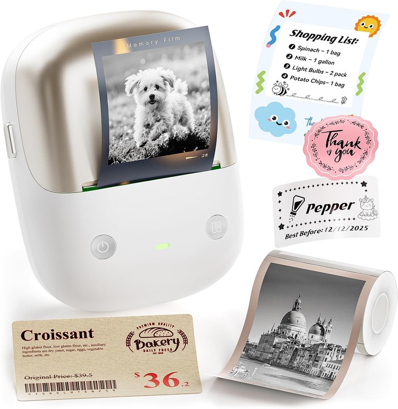 NIIMBOT B2 Pro Portable Label Maker, Thermal Label Printer with Fun APP | 300 DPI High Definition Bluetooth Label Maker Machine for Photos, Scrapbook, Home,School Organization (Moon Gold)