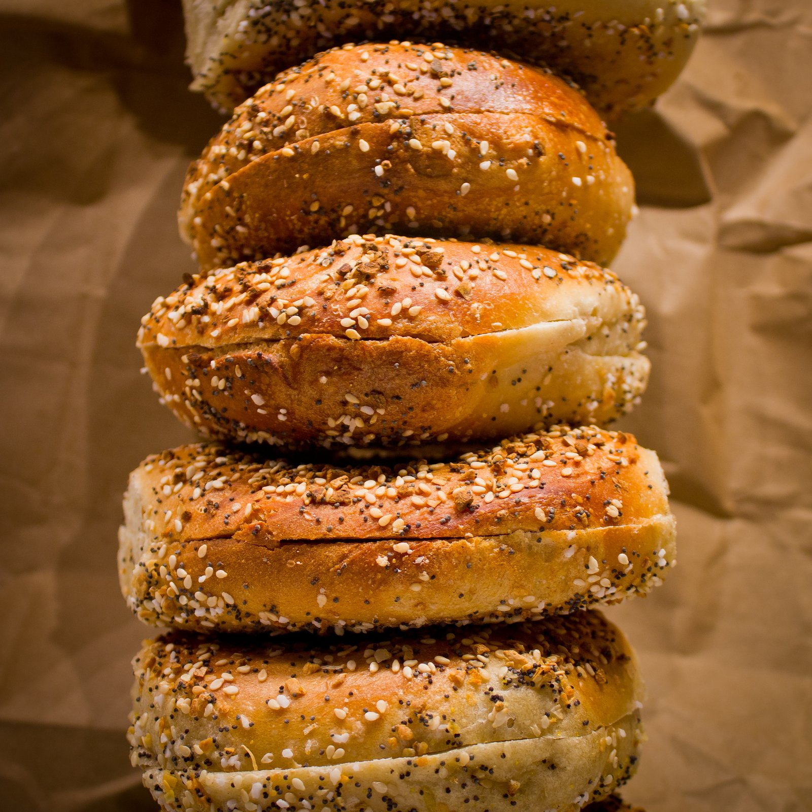 An everything bagel, a real photograph.