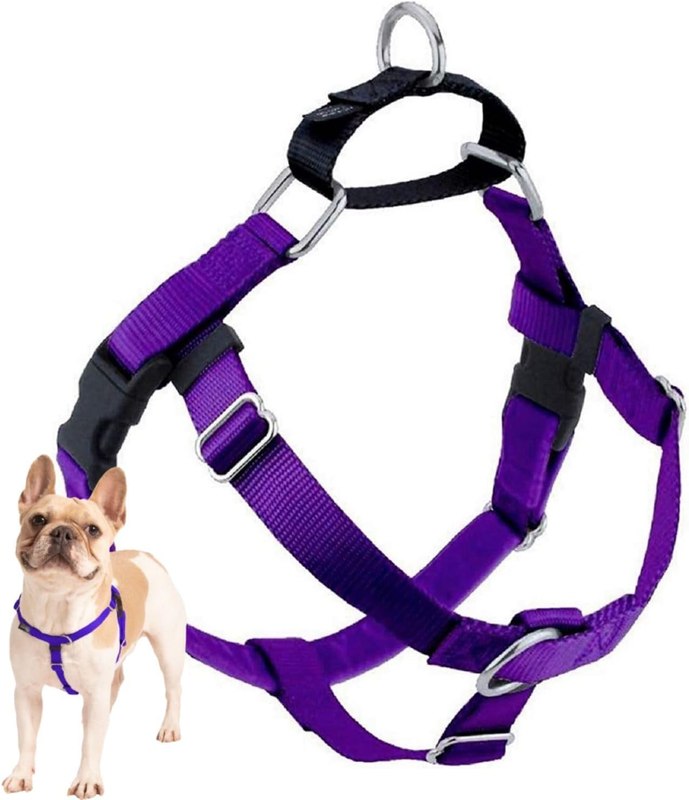 2 Hounds Design Freedom No Pull Dog Harness, 5/8 inch SM, Purple | Discourages Pulling, Comfortable Control Adjustable Dog Harness for Small Sized Dogs, Made in USA (Leash Not Included)