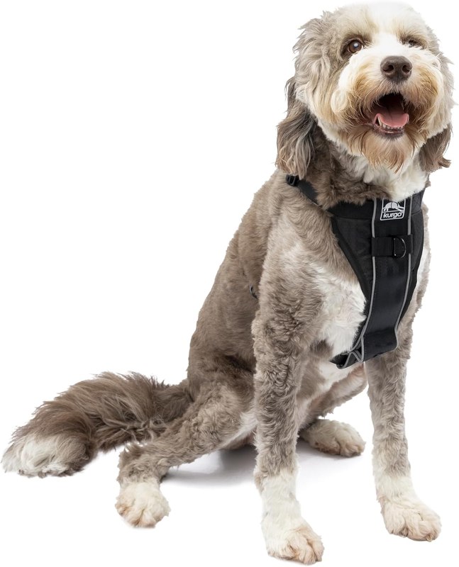Kurgo Tru-Fit Smart Harness, Black, Large | Dog Walking Harness with Quick Release Buckles, Front & Back Leash Attachments, Reflective Trim, Includes Seatbelt Tether