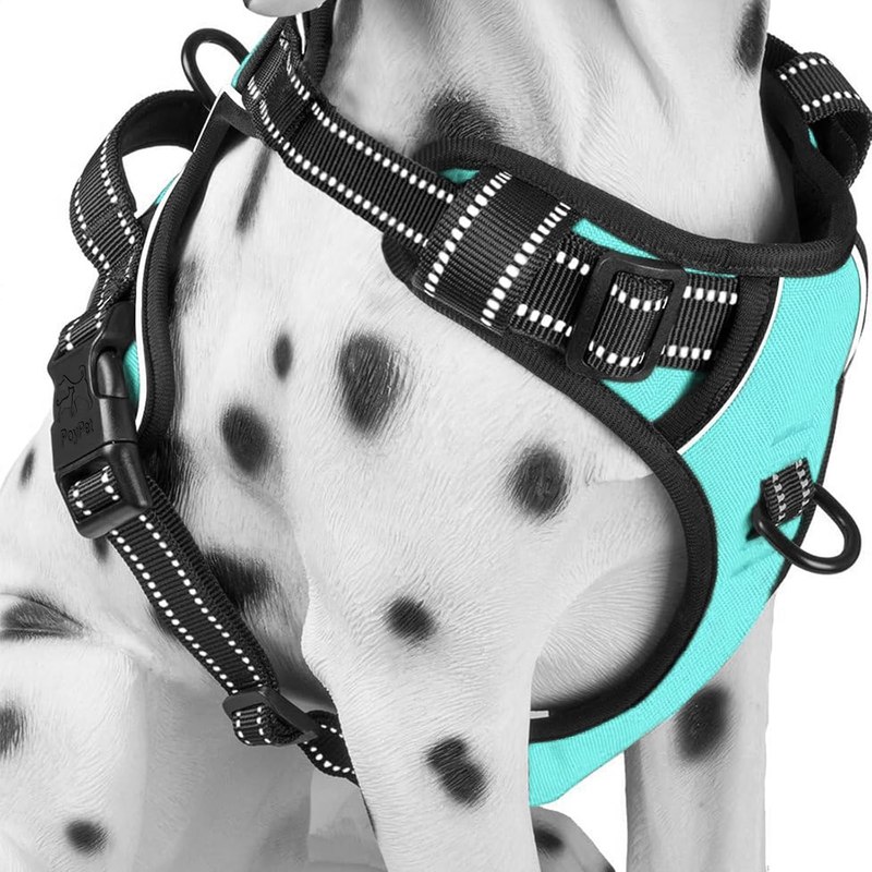 PoyPet No Pull Dog Harness Medium, Reflective Vest with Front Clip & Handle | Easy On/Off, No Choke, Adjustable, 2 Leash D-rings, Soft Padded, Breathable, Oxford, for Walking Training, M, Mint Blue
