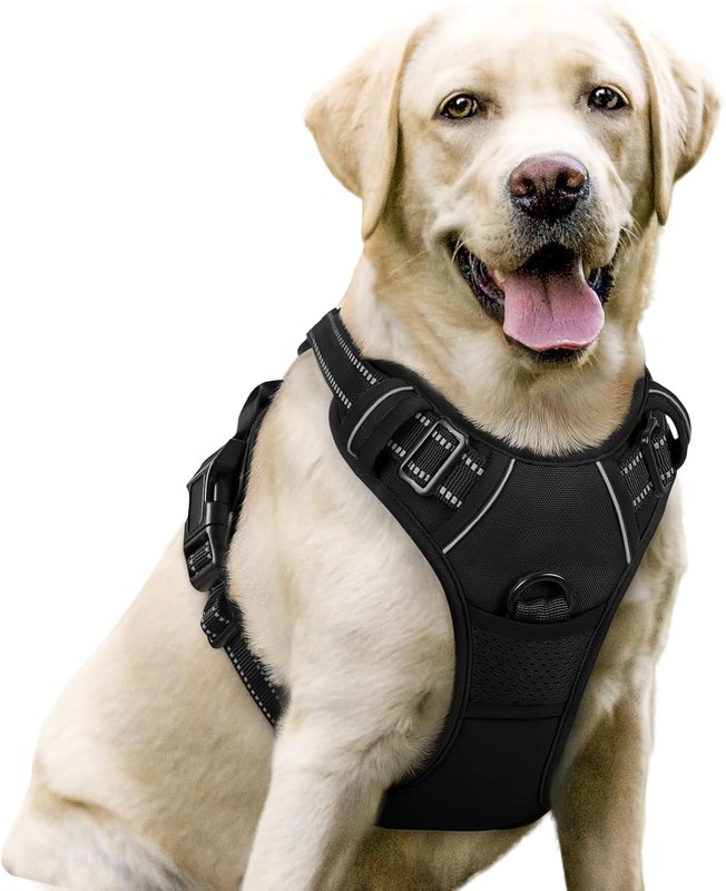 rabbitgoo Dog Harness, No Pull for Large Dogs with 2 Leash Clips, Pet Vest | No Choke with Handle, Adjustable Soft Padded, Reflective, Easy Control for Walking, Black, Large