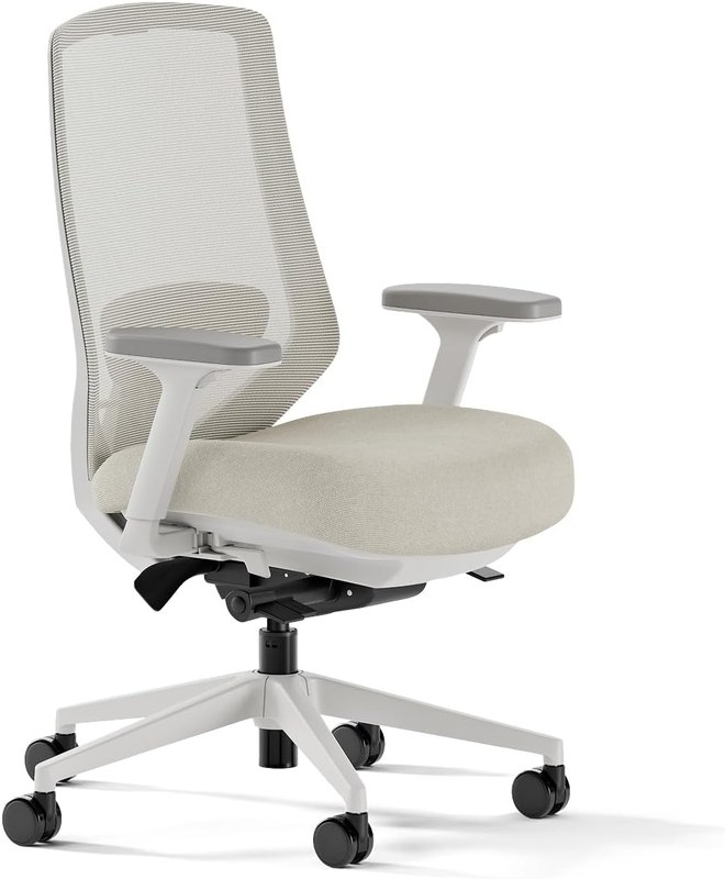 Branch Ergonomic Chair Pro, Mesh Office Chair with 14 Points of Adjustment | Height, Depth and Tilt Adjustable, 5D Armrests, Forward Tilt, Smooth Recline, and Lumbar Support, Shore