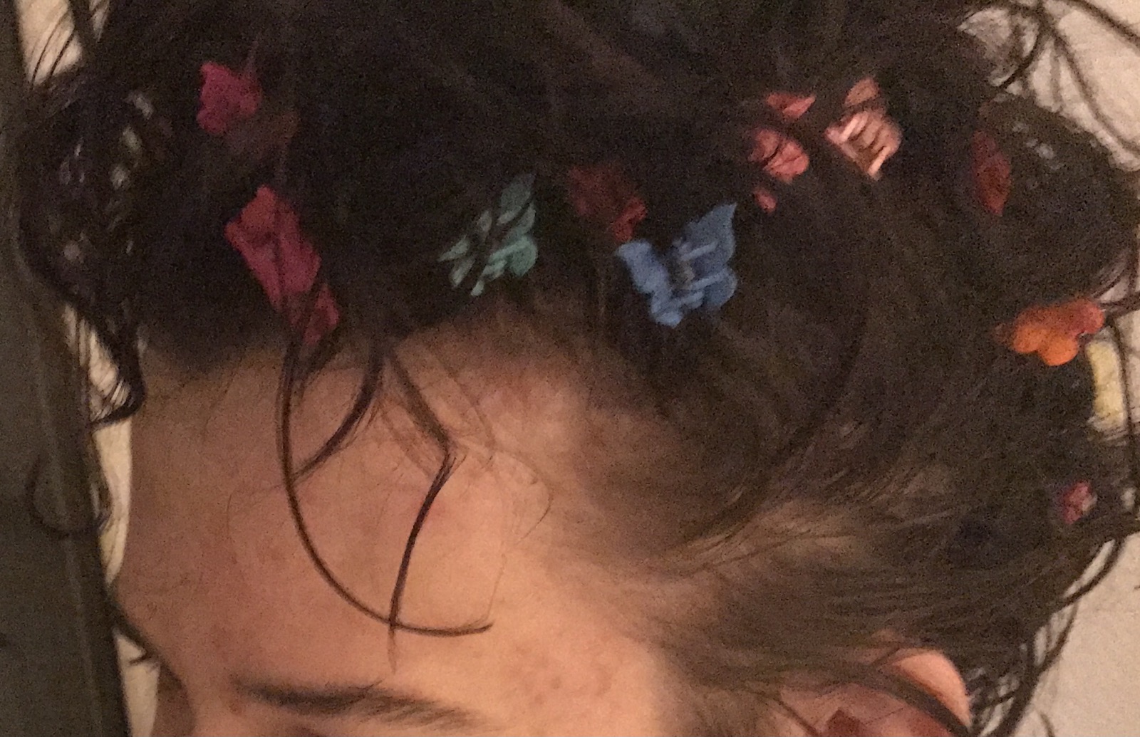 Butterfly hair clips in dark hair, a Y2K fashion staple, real photograph.