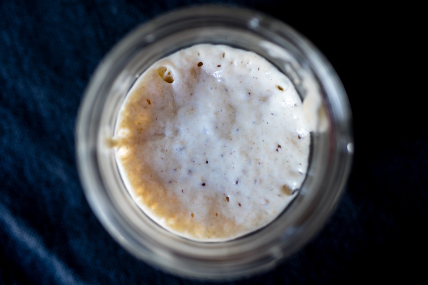 An active, bubbling sourdough starter in a glass jar, a real photograph.