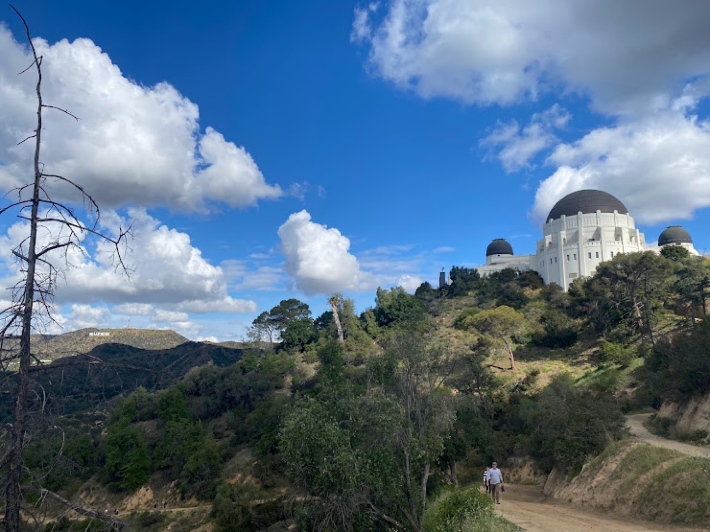 Griffith Observatory with the Hollywood Sign in the background, real photograph.