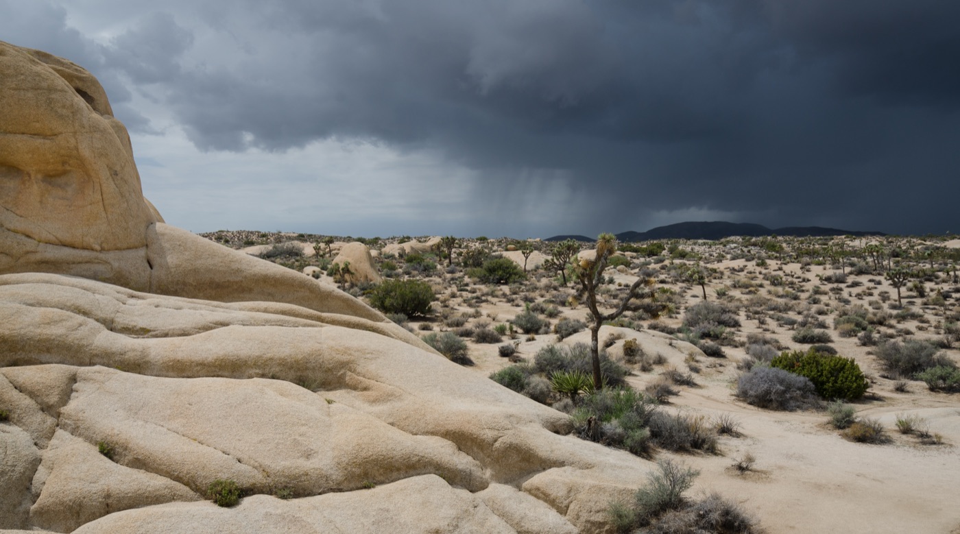 Joshua Tree National Park with an approaching thunderstorm, real photograph.