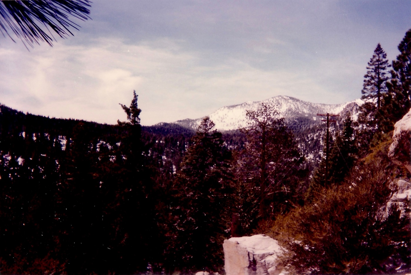 Mountain-top view from the Palm Springs Aerial Tramway, real photograph.