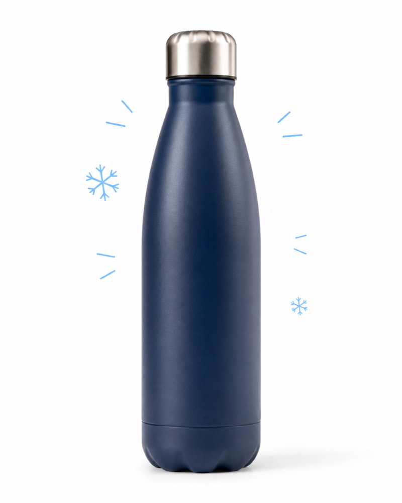 Insulated stainless steel water bottle