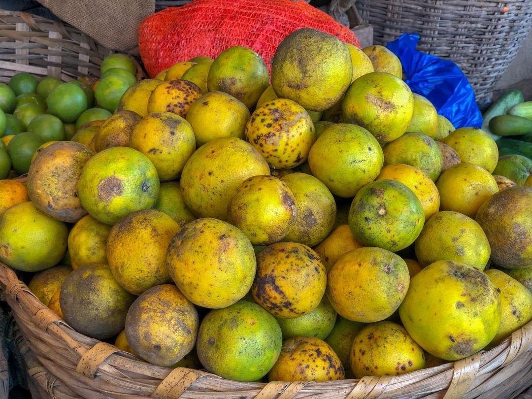 Fresh oranges, a natural source of vitamin C