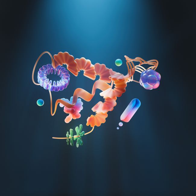 collagen skin structure illustration